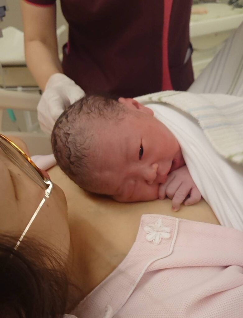 ディディモス カンガルーケア ボンディングラップ 新生児 NICU